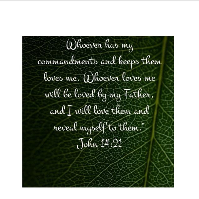 SHSFCAofficial's tweet photo. Good Morning FCA
So TODAY is FCA and it starts at 7:30a.m. in the Little Theater be there! 

God bless see you there! http://t.co/p1D6Zw55Sk