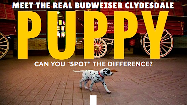 Jeannie Power, CMP tweet media