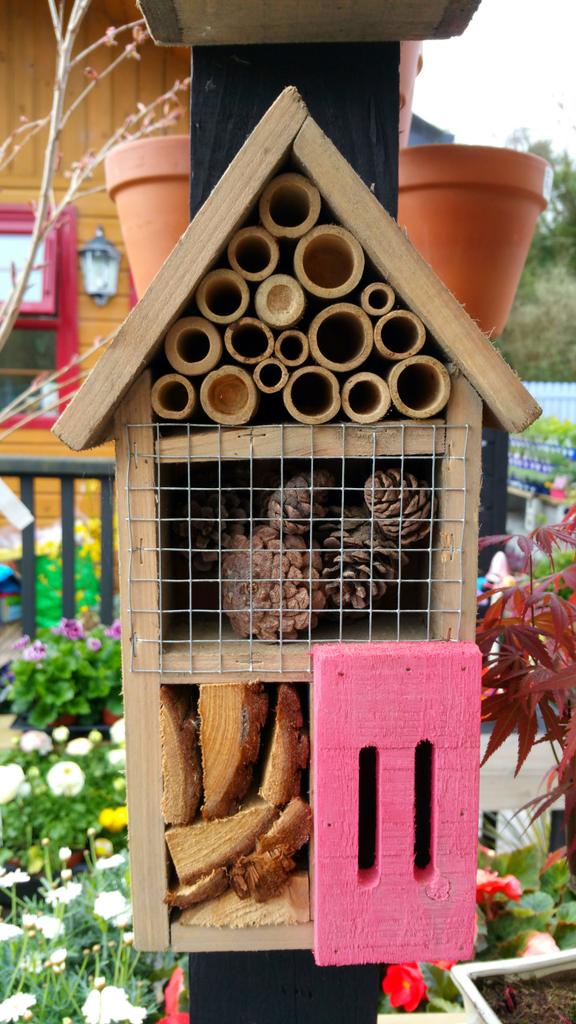 SweetMagnoliaGC's tweet photo. Bugbox #gardening #wildlife #irish http://t.co/eZoJffR3zH