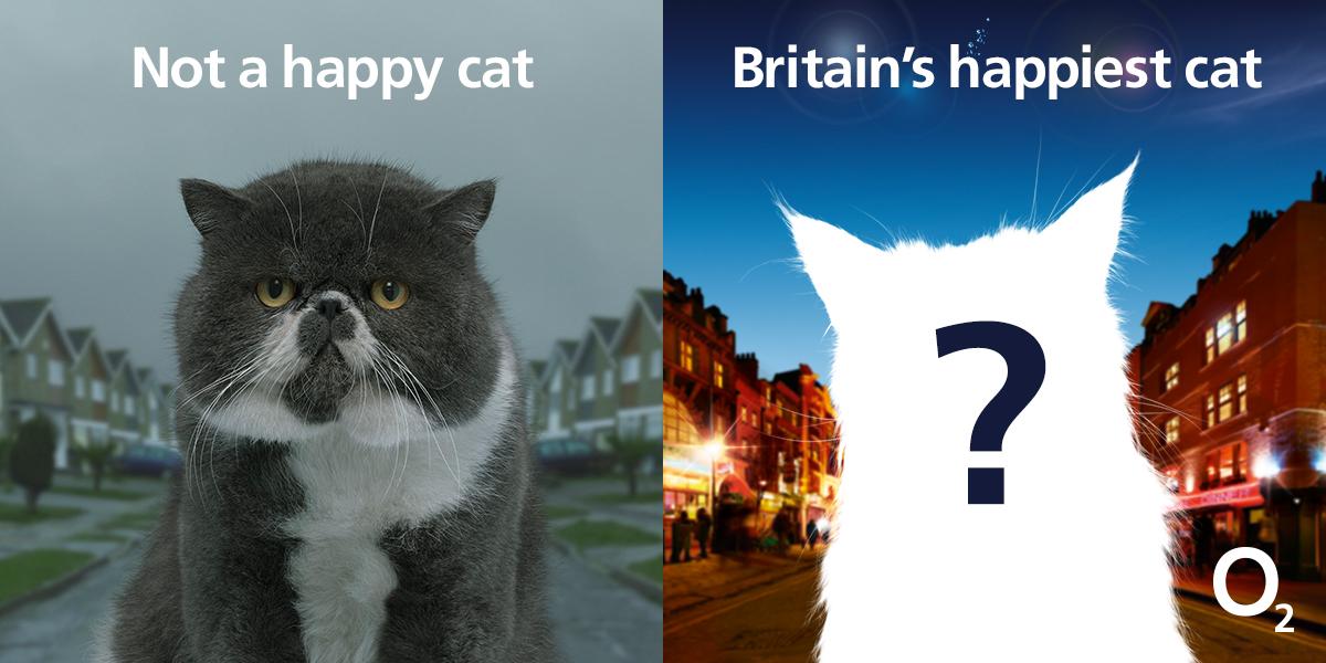 O2's tweet image. Got Britain's happiest cat? Tweet a pic with #O2HappyCat &amp;amp; your kitty could be in our next ad o2.uk/happycat