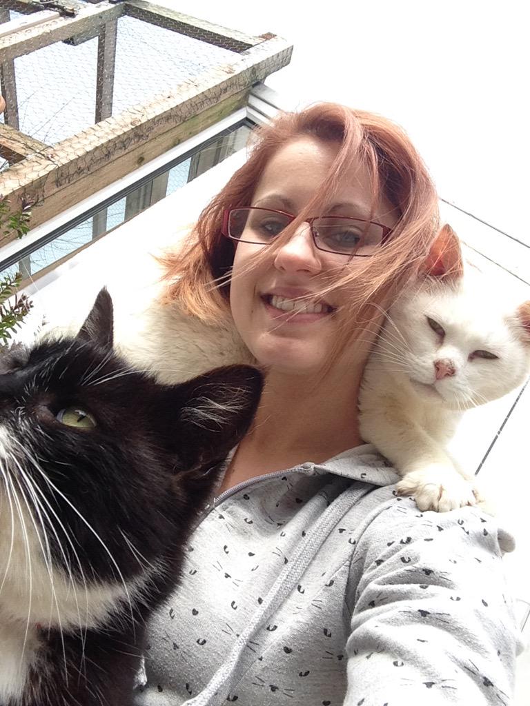 CarlaRoxann's tweet image. @o2 snowball &amp;amp; freddy live at a cat rescue I volunteer at. They're still really happy! #o2happycat