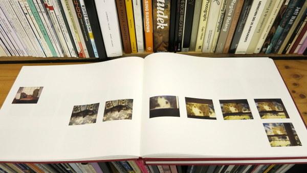 幻想系古本屋 古書ドリス on X: 幻想系古本屋 古書ドリス on X: