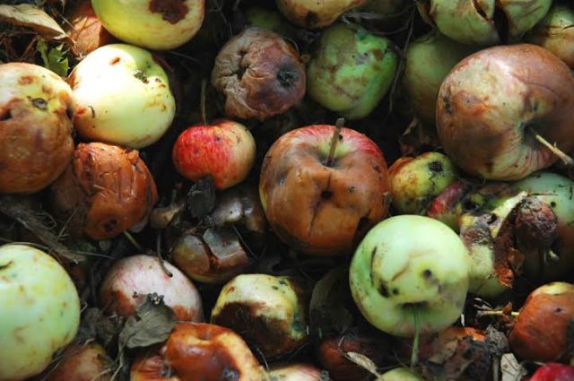 Inside Higher Ed tweet media