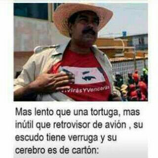 ybrbrd's tweet image. #SonLosMismosNoVolveran