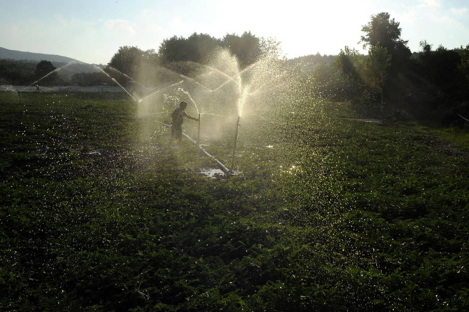 CCNUCC's tweet photo. Livre blanc sur l'eau: des mesures s’imposent pour éviter la pénurie en 2050 http://t.co/CRsLyNf6Fl @FAOnews http://t.co/sIDYhH3Skx