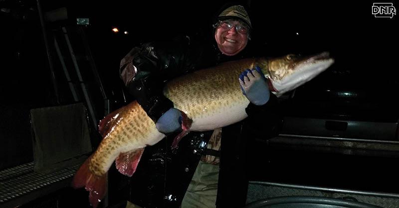 Iowa DNR on X: We found this 46 lb Spirit Lake #muskie while collecting  broodstock fish for our hatcheries!    / X