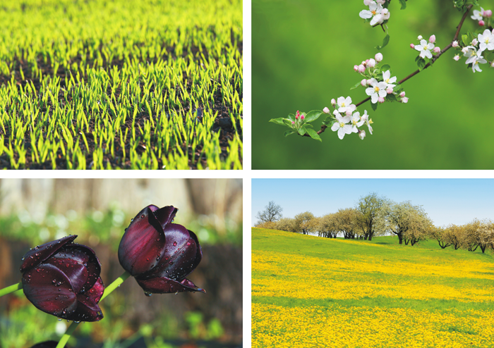 NjoySight's tweet photo. Red, itchy, watery eyes? Here are some ways to get allergy relief this spring. http://t.co/LfNPijfrdn http://t.co/1sBIddyq8f