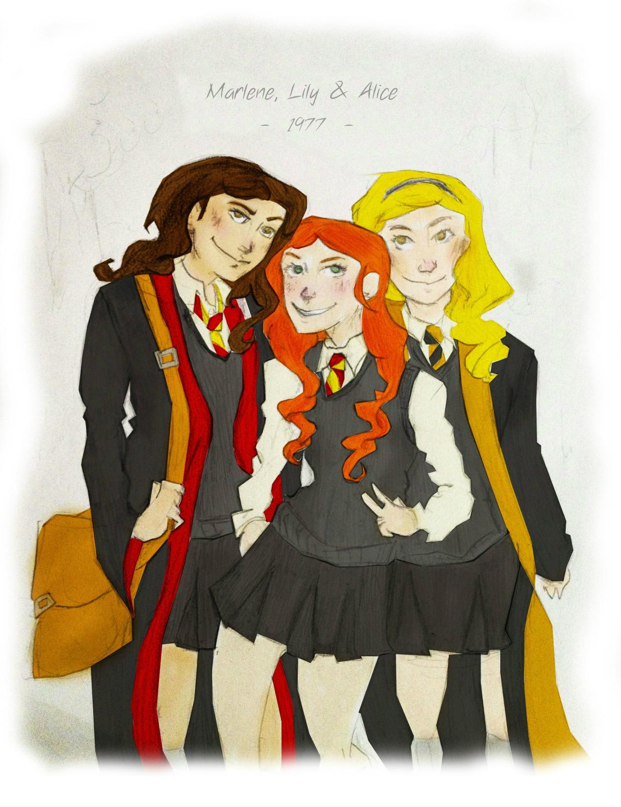 Harry Potter Fan Art Marauders