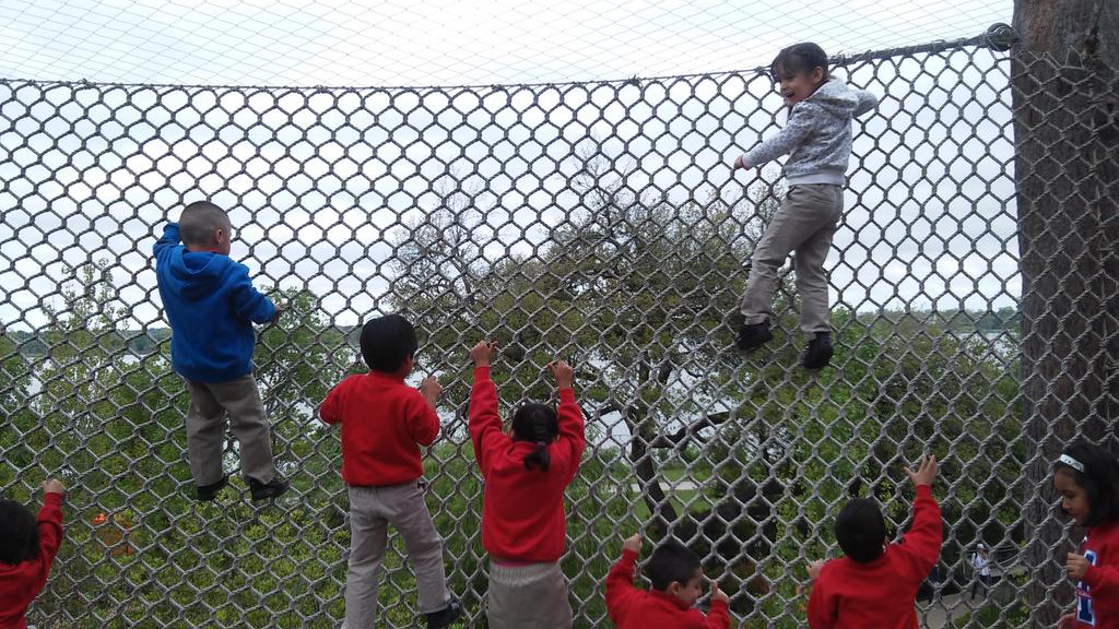 MsNunoPK's tweet photo. Pre-K is just "hanging out" at the @dallasarboretum today. #msoctx http://t.co/0xW8JW0EHC