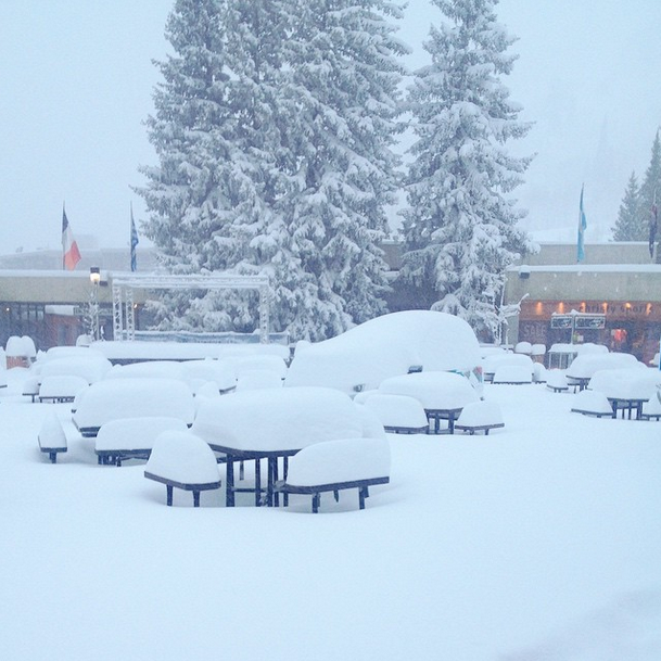 Skicom's tweet photo. Hungry for pow? @Snowbird skiers are feasting on 13" of new snow this morning. http://t.co/havgifIKiG