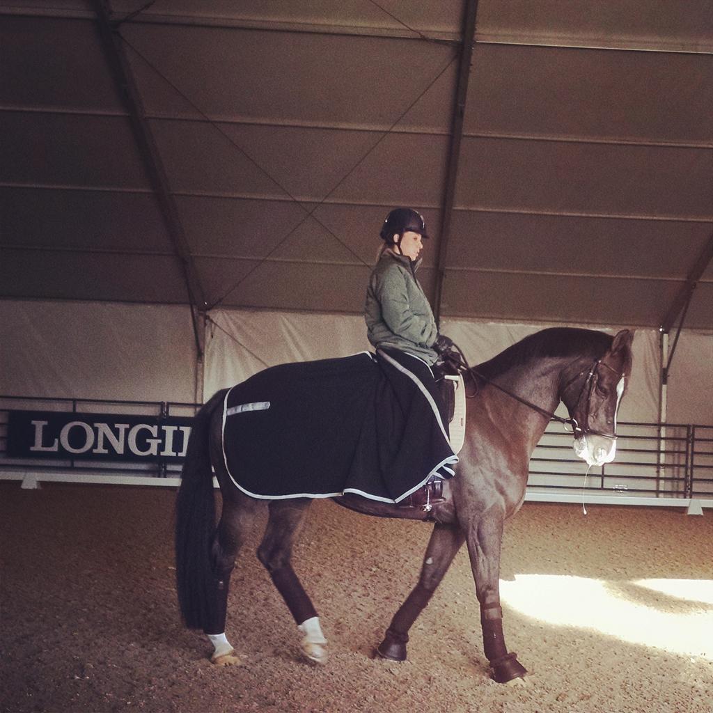 Rponygirl's tweet photo. #FEIWorldCup #Dressagefinals #charlottedujardin #valegro http://t.co/I7jRSB3rqZ