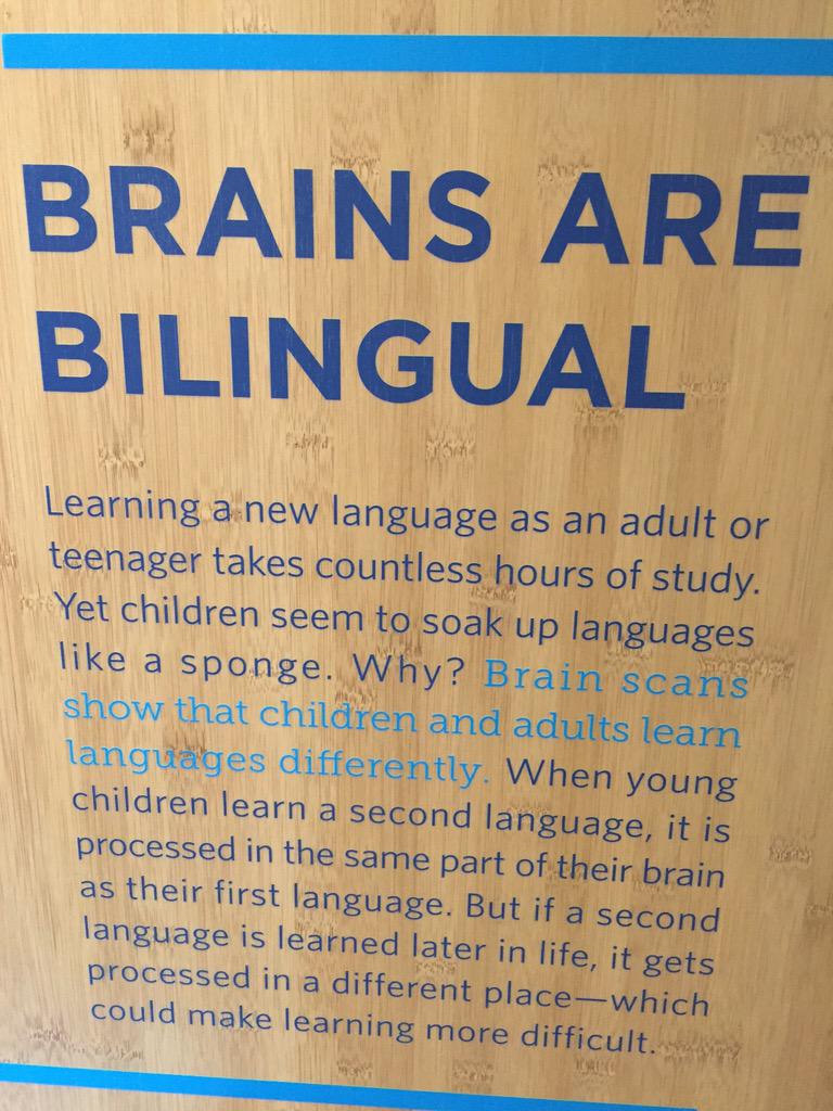 Joe_Mazza's tweet photo. Brains are bilingual #penncssc #neuroED http://t.co/9LEBAi8Vrq