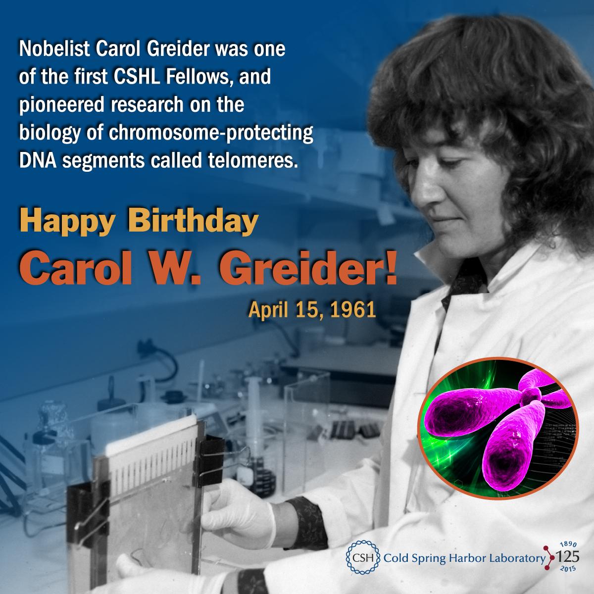 Happy birthday Nobelist Carol Greider-she pioneered work on chromosome-protecting segments:  