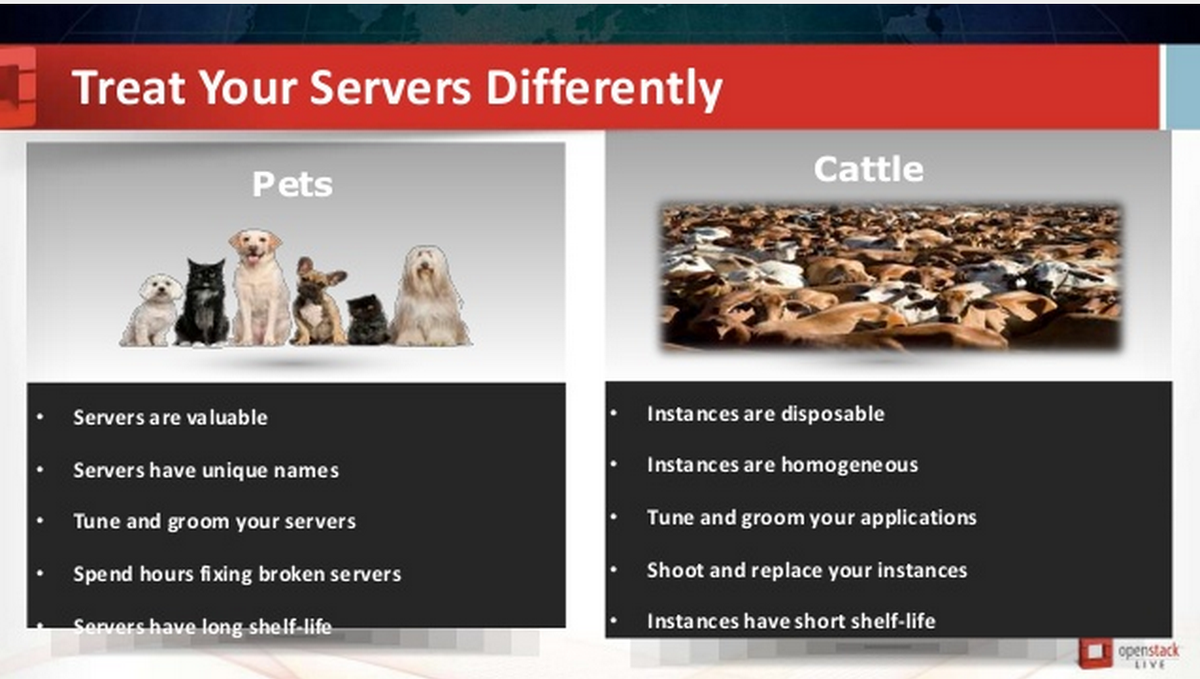 johnny_allen's tweet image. Those poor cows. #OpenStackLive