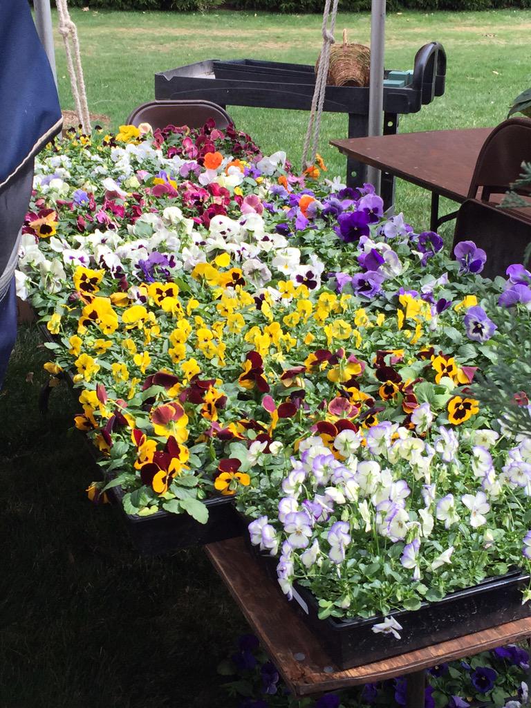 bearcommamere's tweet photo. Don't be a pansy. #ThinkAg @AgDayPSU http://t.co/LTP1UwuC3R