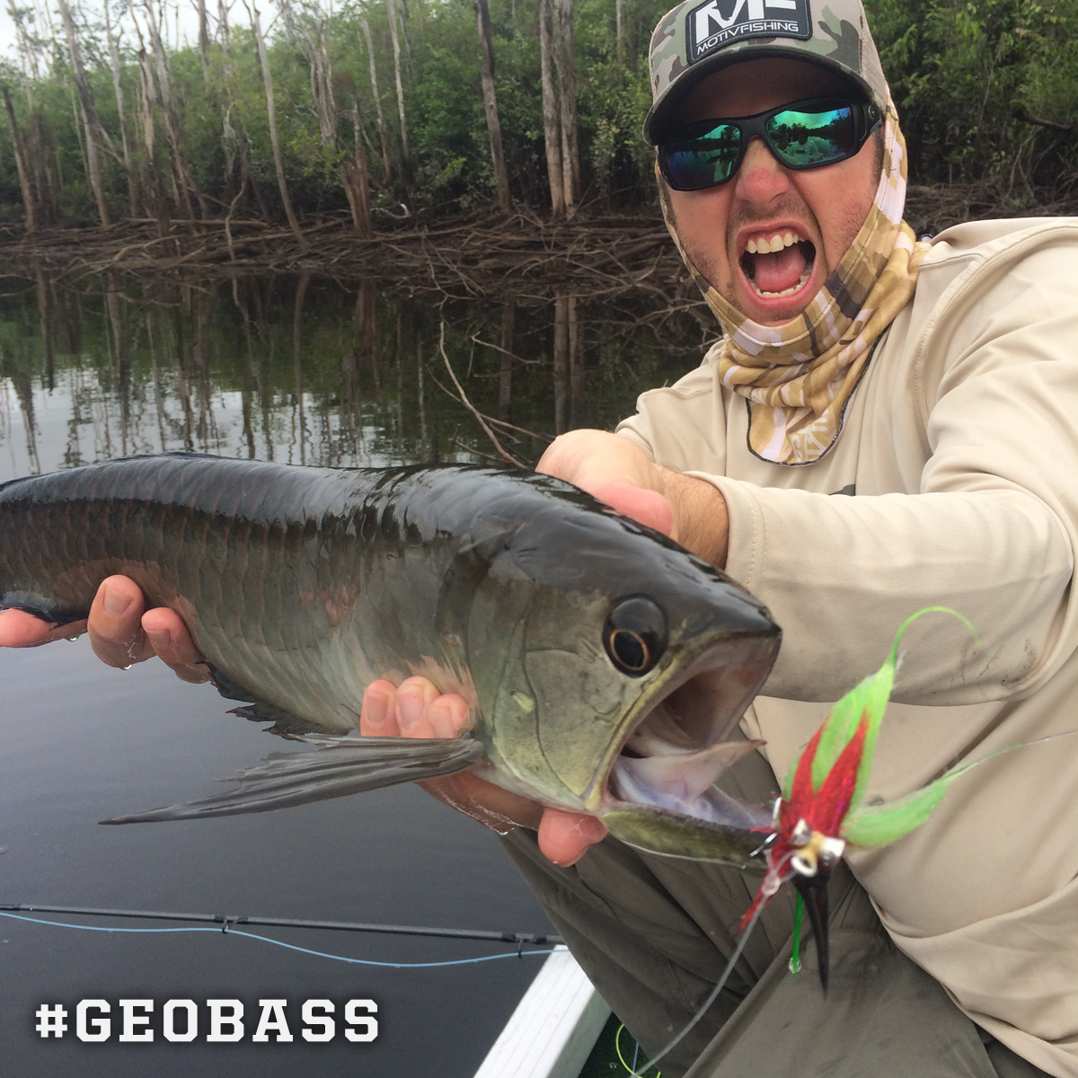 CostaSunglasses's tweet photo. Just another weird creature from the wildest river on earth. #arowana #GEOBASS Watch here: http://t.co/leDjbxnbQX http://t.co/9ZDImJzhEa