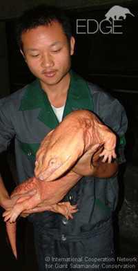 SaveTheTreeeees's tweet image. Without trees animals like this wouldn't have an ecosystem to develop in #savethetrees #stopdeforestation