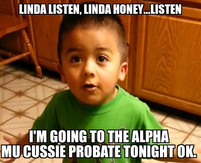 CUS_AlphaMu's tweet photo. TONIGHT!!
#USF #CUSSIES #USF15 #USF16 #USF17 #USF18 #XiLINE #CUS #CHIHOOT http://t.co/OY3fgbu9DH