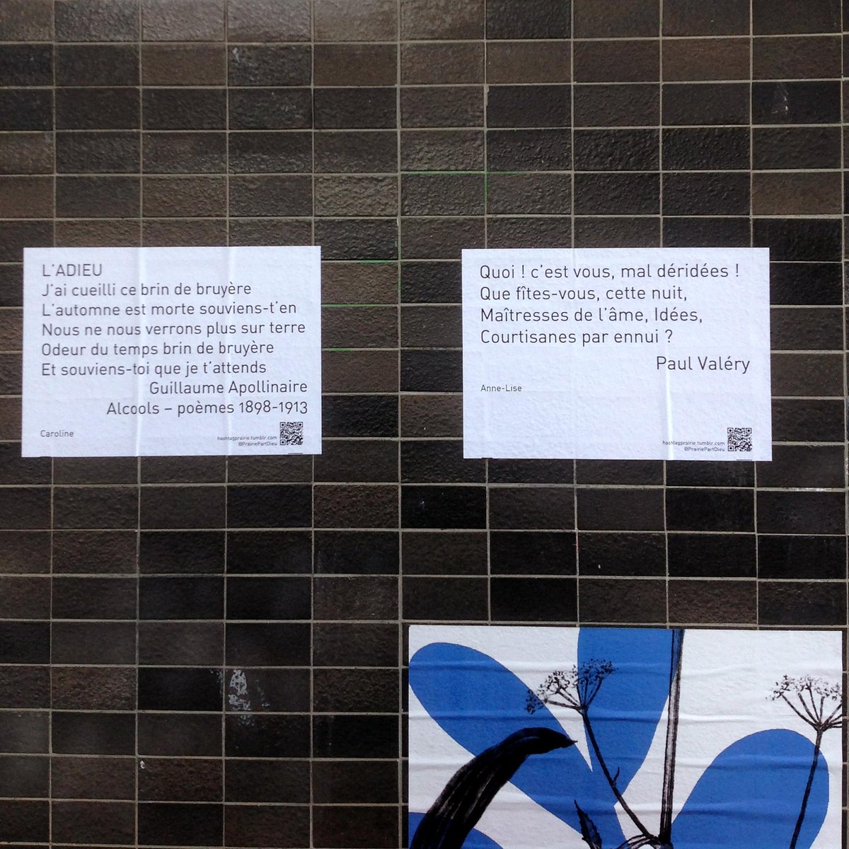 PrairiePartDieu's tweet image. Voilà, tout y est ! D'abord Appolinaire et Victor Hugo ! #Prairie #PrairiePartDieu
hashtagprairie.tumblr.com/motsfleuris