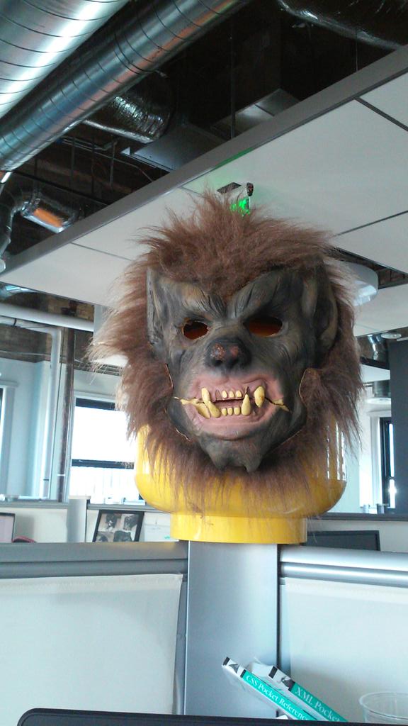 Bob Potter tweet media