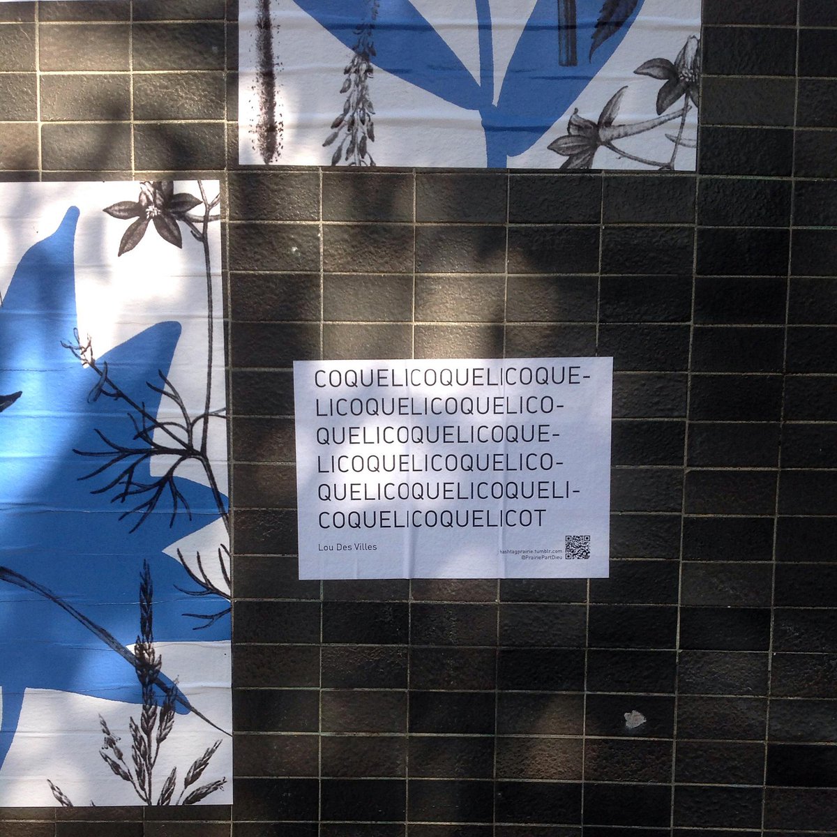 PrairiePartDieu's tweet image. Des chansons sympathiques pour disque rayé : #Prairie #PrairiePartDieu #DitesLeAvecDesFleurs