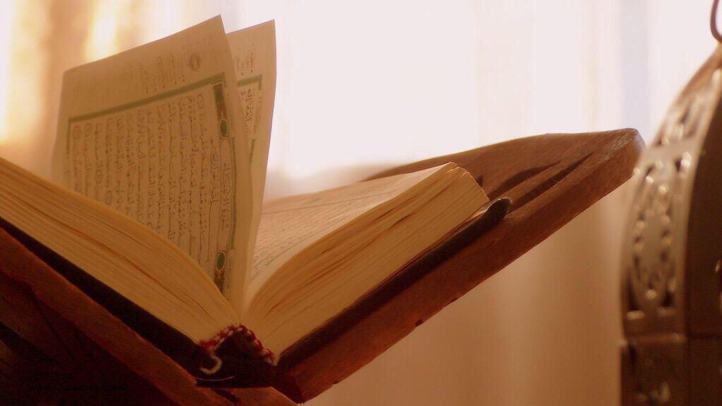 د. محمد العريفي tweet media