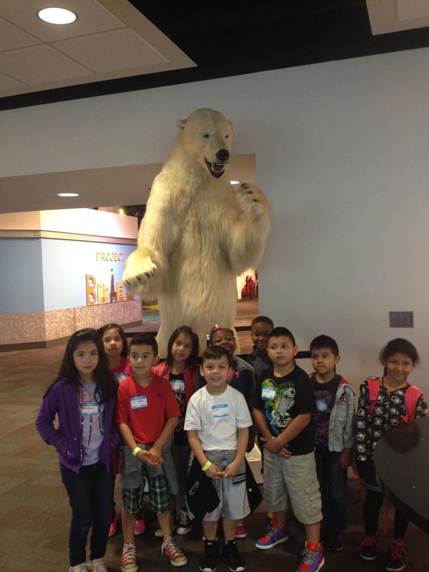 counselingtiger's tweet image. Hanging out with my 1st grade friends at #discoveryplace #polarbearstare #cmsesc @CharMeckSchools