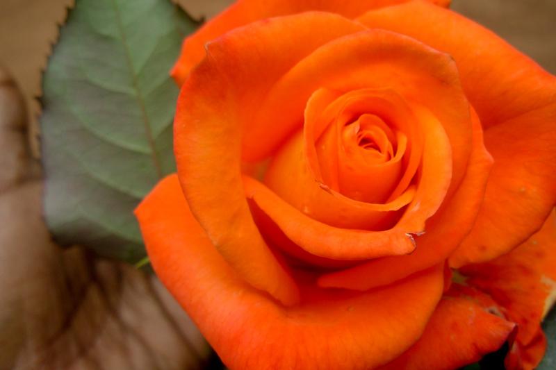 Freedom_Firm's tweet image. ...If I find walking in daily freedom difficult, what of the girls? 
Read the full story here: freedom.firm.in/emerging-from-…