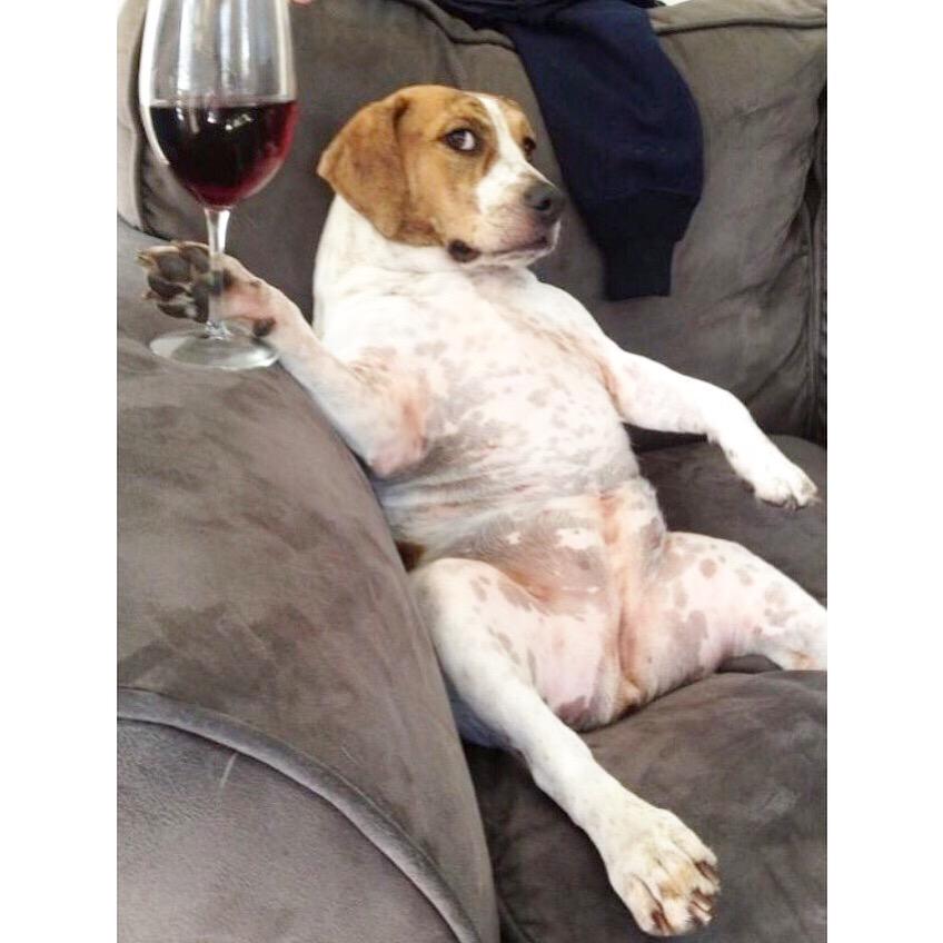 totalsratmove's tweet photo. When you're trying to have me time, but your friends keep trying to get you to go out. #TSM https://t.co/O6OrfiiALd http://t.co/8TkixWxQ0b