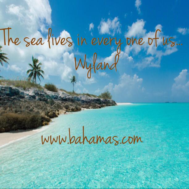 Bahamas1's tweet photo. #wednesdaywisdom http://t.co/dHHaZU4hc6