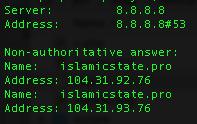TorReaper's tweet photo. Day 5 no action from @CloudFlare. Look at the domain name you idiots! @eastdakota #OpISIS #GhostsSec #FuckCloudFlare http://t.co/bCrRAoyl2o