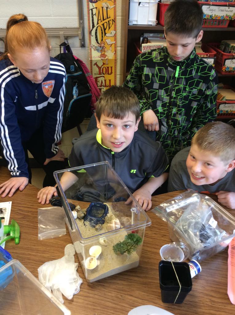 KrisRiffe's tweet photo. Hermit crabs and tree frogs arrived for #science! #twainfraser #fraserschools http://t.co/vqfh7DwgUQ