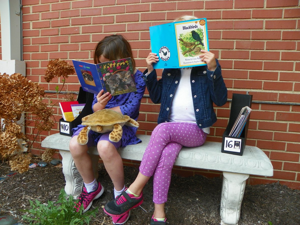 techandbooks's tweet image. Perfect reading weather today  #ilovemylibrary