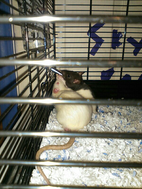 666sbf666's tweet photo. http://t.co/2ep1Kiwyki