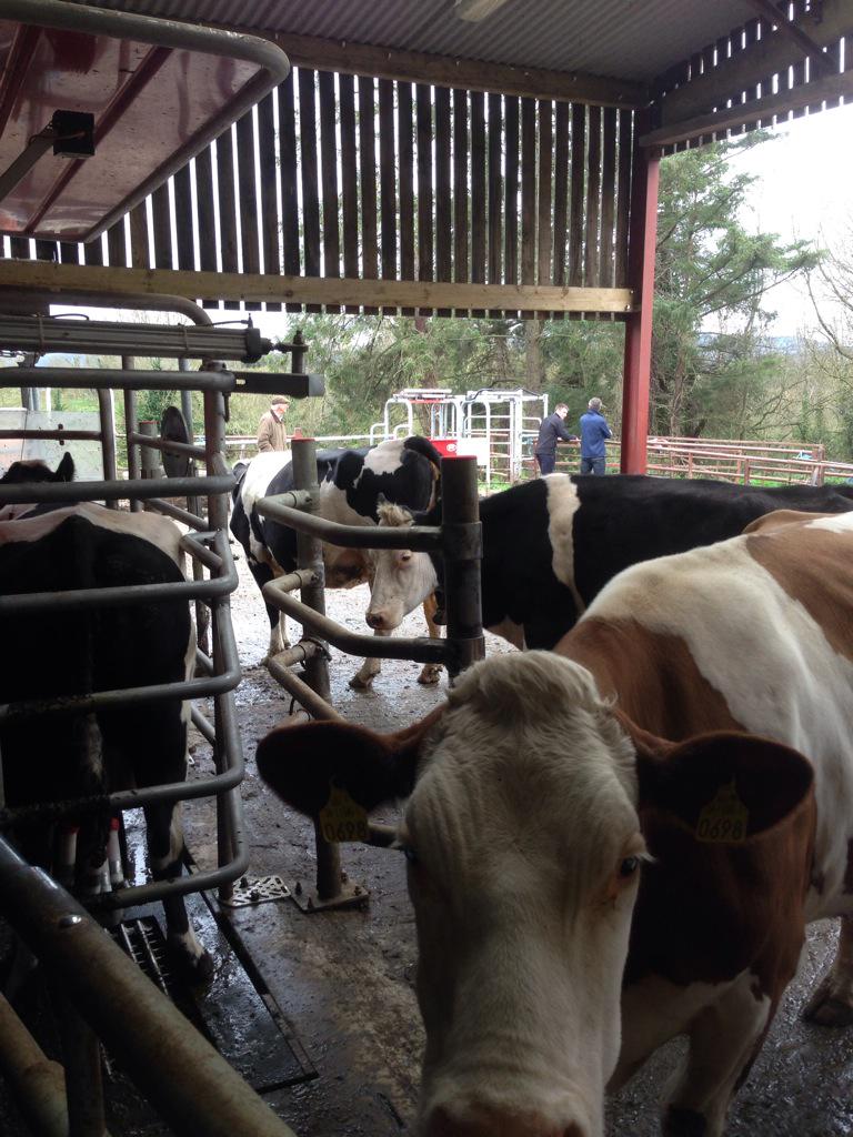LelySouthEast's tweet image. Successful Open Day on Mr Pat Mulrooneys farm 1 A4 grazing system, Beautiful scenery! #organic #LelyRobot