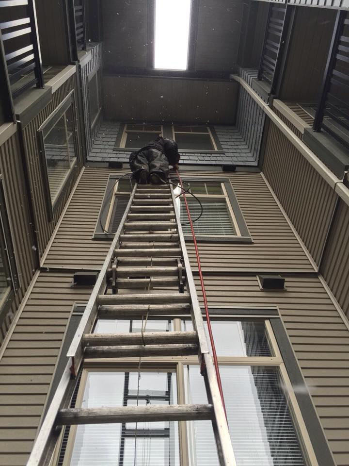 Blacktieps's tweet image. "Sometimes all you need is a new #perspective." #windowcleaning #ladderwork  #exteriorbuildingmaintenance #life #work