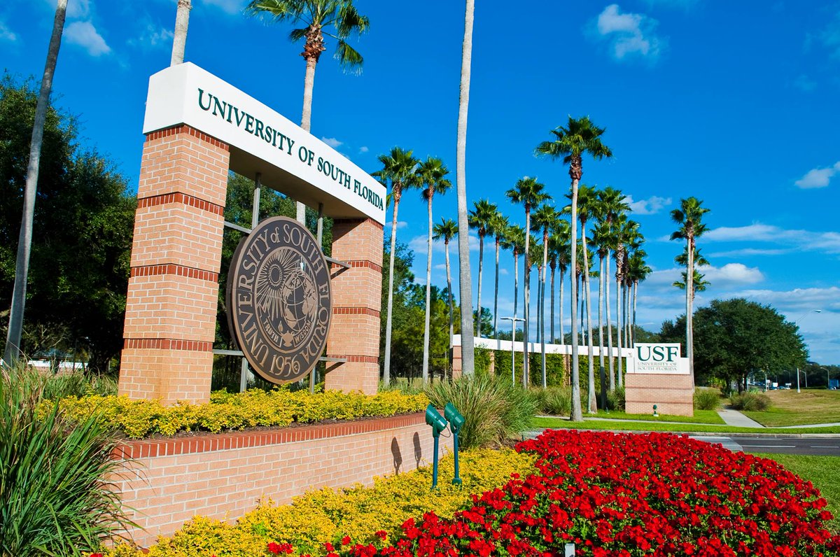 USouthFlorida's tweet image. #USF