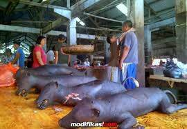 Tahukah anda itu Hewan apa?
(1)