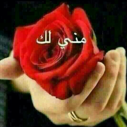 gdggjg64's tweet image. Tiny Flashlight app play.google.com/store/apps/det… #tinyflashlight #android #app #torch