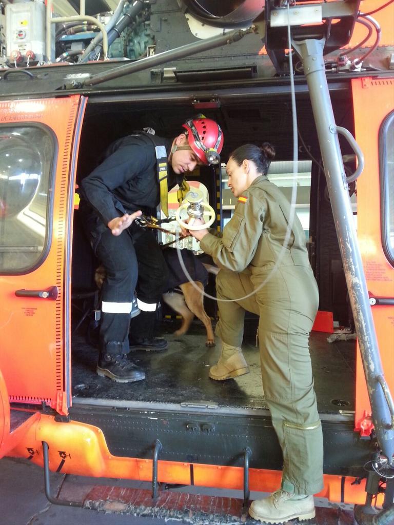 UMEgob's tweet photo. Escuelas prácticas cinológicas en #Bétera con participación de todos los equipos @UMEgob #SECIR @guardiacivil (1/2) http://t.co/Iz7QGWyMuy