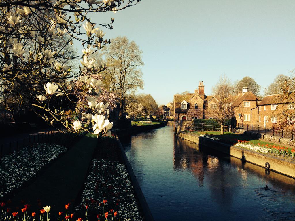 teeleannus's tweet photo. Third week of Easter tennis camps in beautiful Canterbury. #unitennis #easterzone #tennis #coach @UniKentSports http://t.co/zB0oc6BMdb