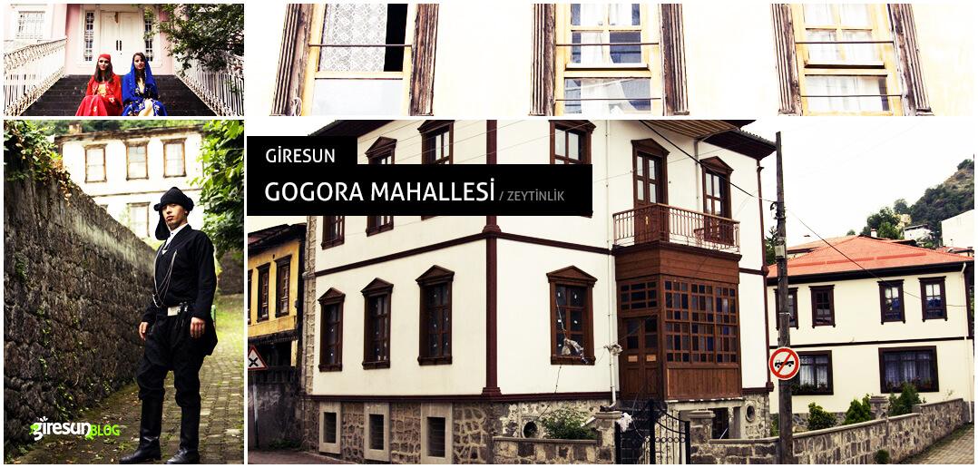 giresunblog's tweet photo. Giresun'unumuzun kültür mirası Zeytiinlik hakkında neler biliyorsunuz?
http://t.co/eAfBEM8tBV http://t.co/CWUlZG6Lpm