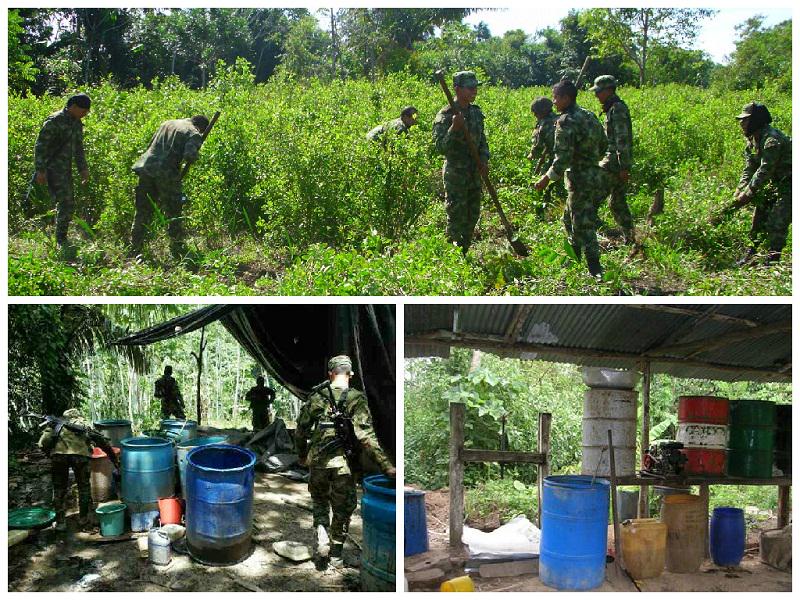 Ejercito De Colombia tweet media