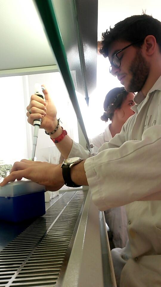Adelefdv's tweet photo. A hard session : what is the influence of the temperature on the B.subtilis bacteria ? #ThermalWars  #longday #lab http://t.co/2SeofsKrJP