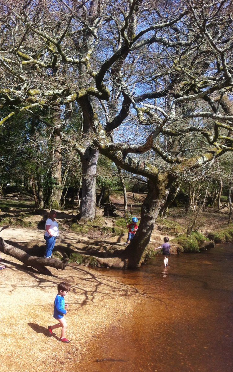 FatTreeTravel's tweet image. What a beautiful day in The New Forest. Ponies, Paddling, &amp;amp; Picnics! British summer @ its best. @NewForestNPA