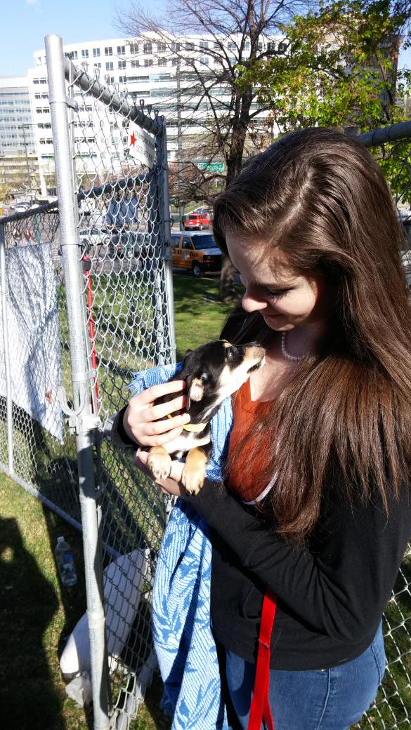 katklancke's tweet photo. 42 total adoptions today! #Inspiredbypets http://t.co/J1RbIRhhhR