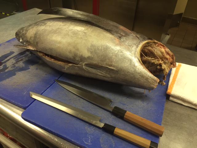 sevensbargrill's tweet photo. Fresh tombo tuna time, only @sevensbargrill http://t.co/f20iE4kf7b