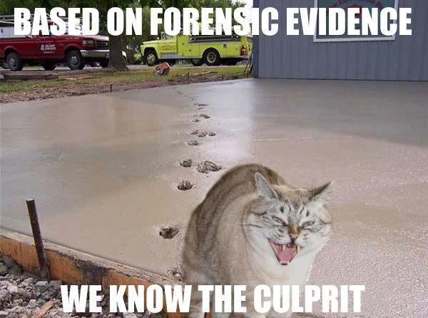 There are many examples of dumb criminals caught because of their #fingerprints : buff.ly/1DIkbTU