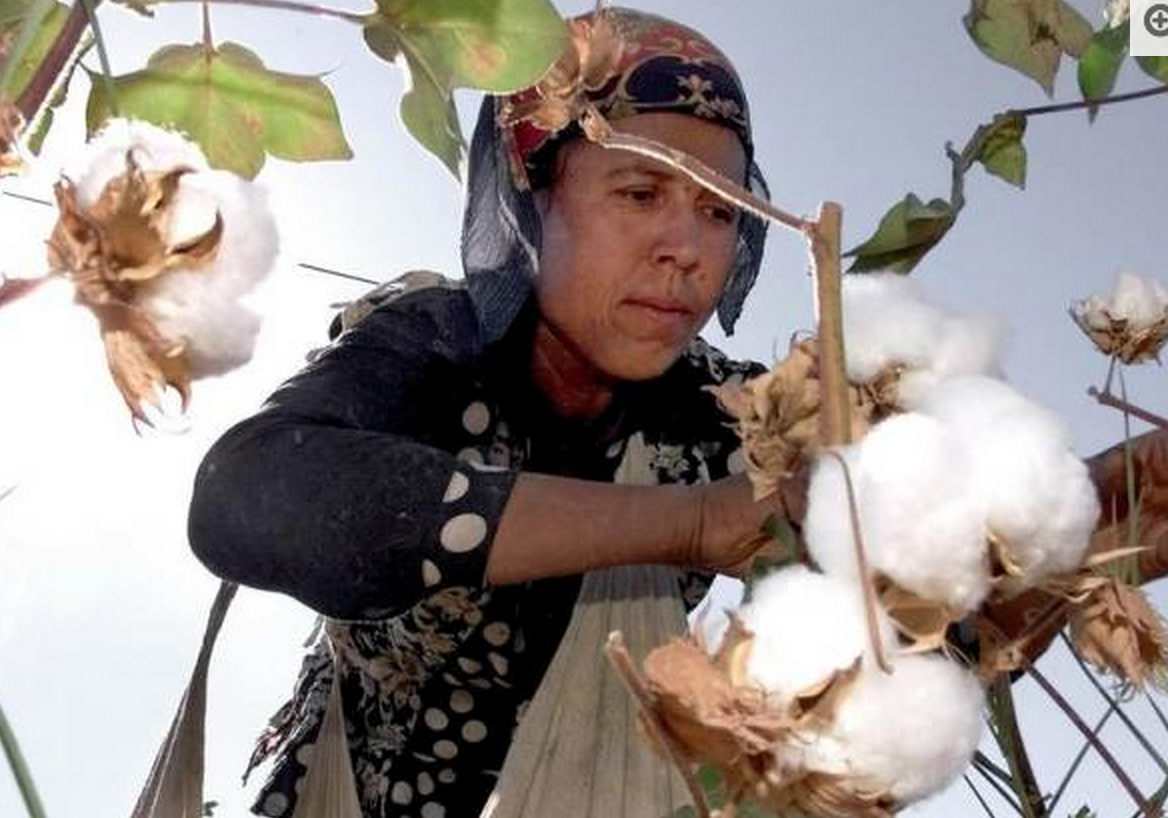 getFRDM's tweet photo. Think plantation slavery is history? In Uzbekistan, you can still find slaves on cotton farms  http://t.co/Ln6SzJvkje http://t.co/IwdkRNiczA