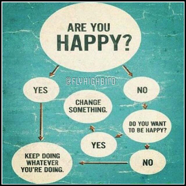 IG: FlyHighBird (@flyhighbird) on Twitter photo 